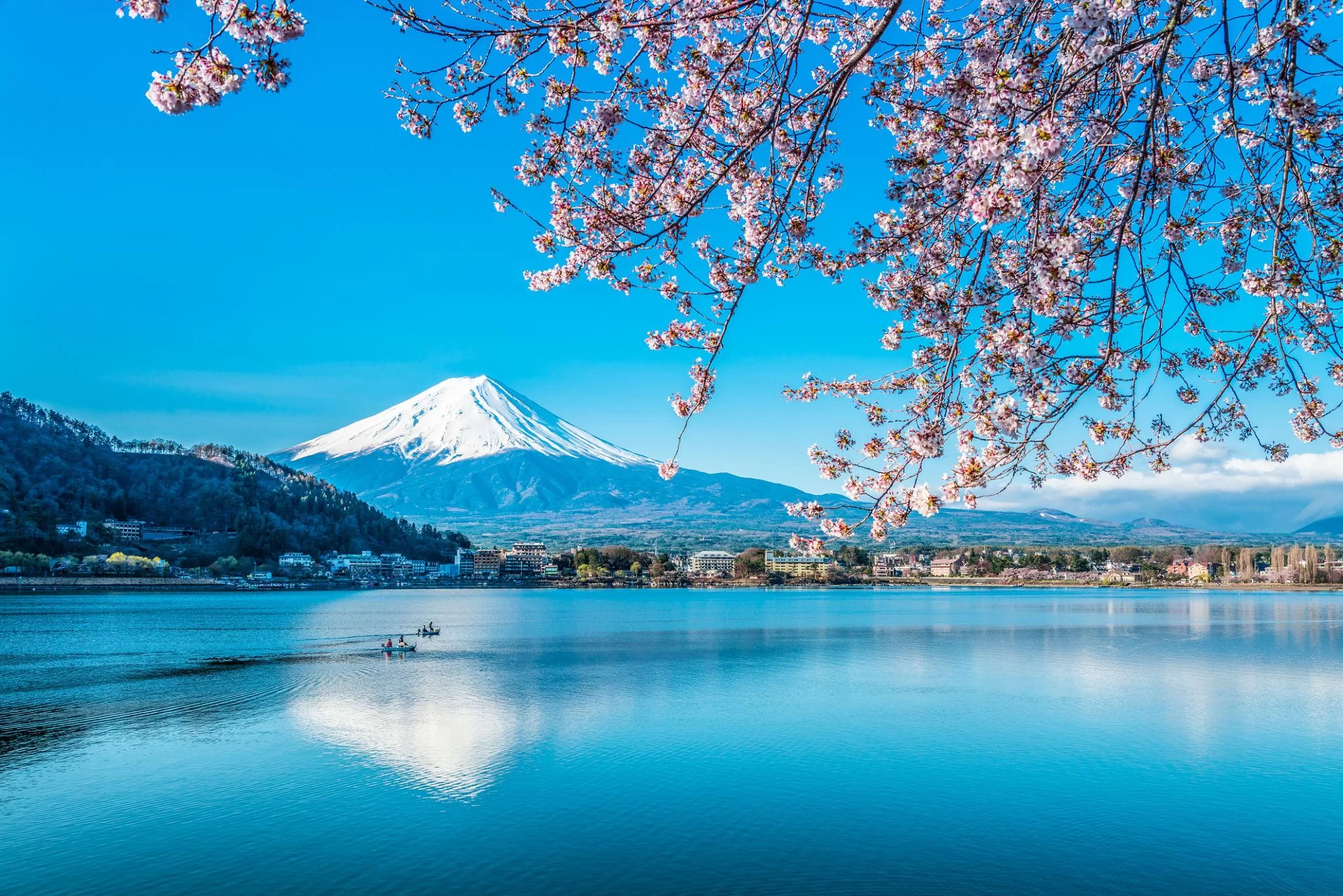 Shavonda Private Tokyo Japan Trip